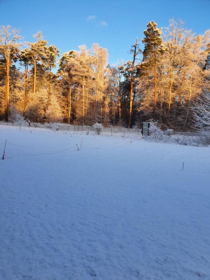 Kuestenliebe 8 Graal-Mueritz Kültér fotó